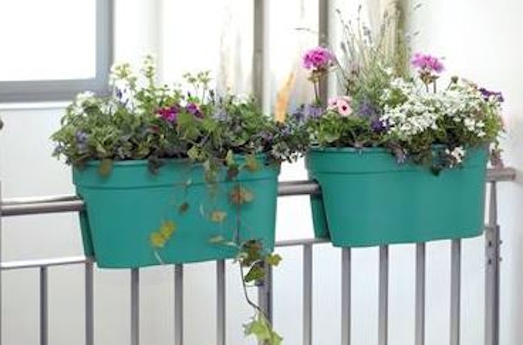 KHW Flowerclip XL, 2er Set