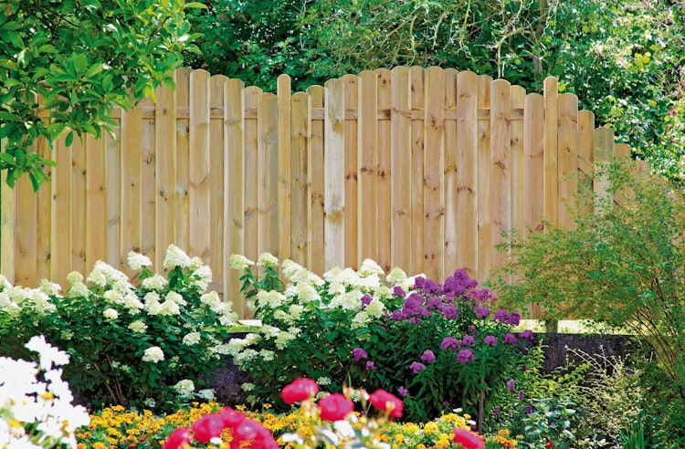 T&J DAAN-Serie Sichtschutz 100 x 180/160 cm