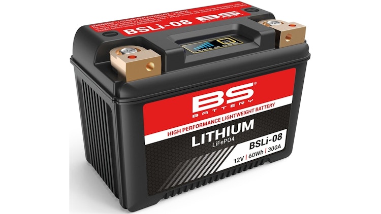 BS-Battery LiFePO4 Batterie wartungsfrei