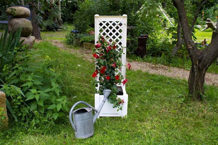 KHW Pflanzkasten klein mit Spalier 43 cm