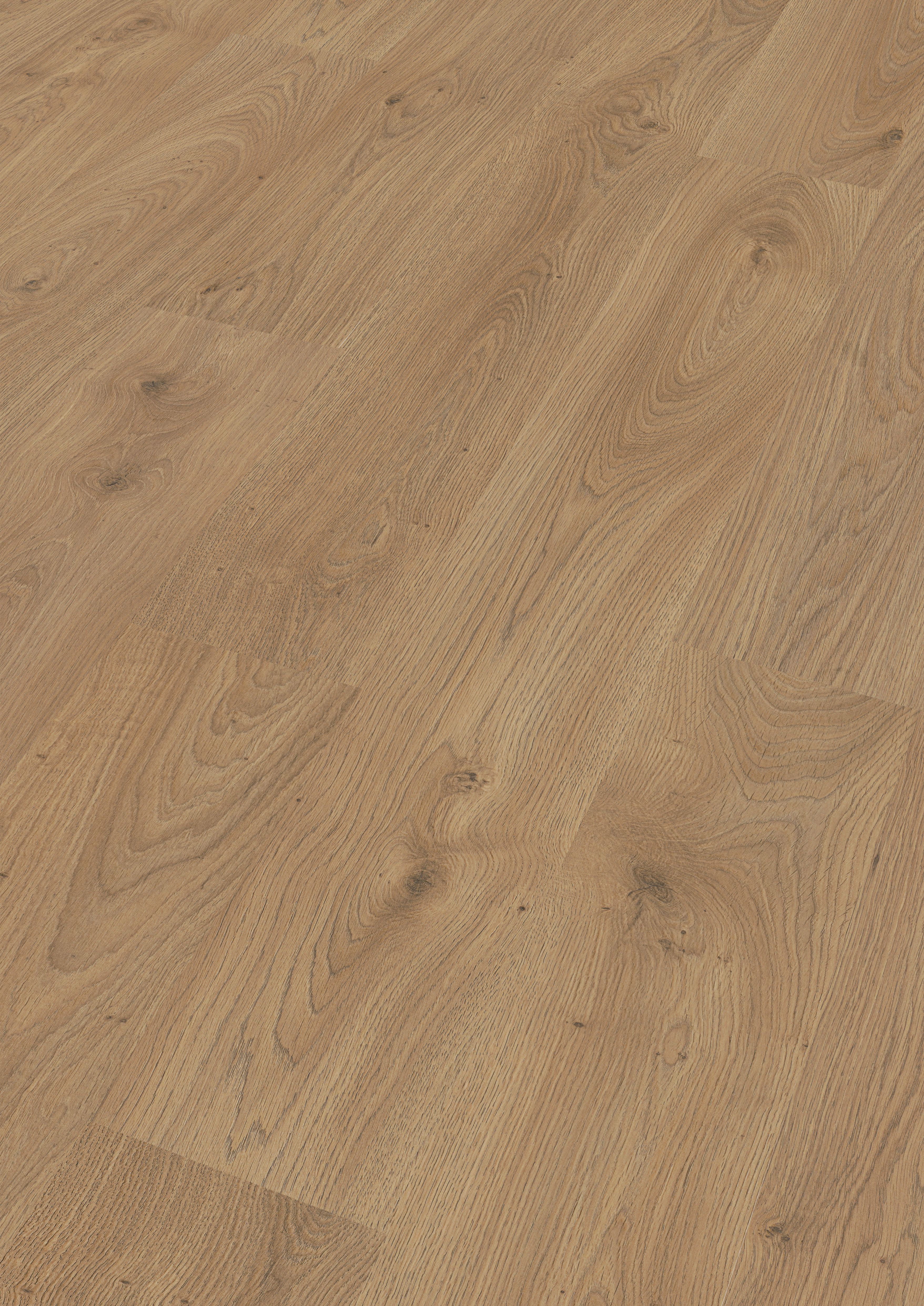 Handmuster Meister Laminatboden MeisterDesign. laminate LC 150 1288 x 198 x 8 mm 07149 Eiche Chianti Porensynchron-Struktur