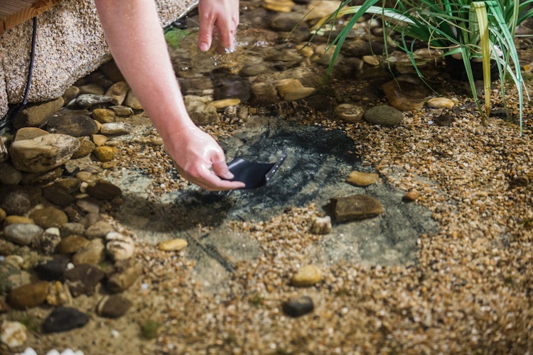 Reparatur-Klebeband "EASY FIX", 150cm schwarz (TF857-00)