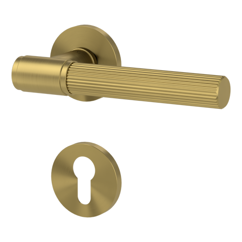 Griffwerk VAYA 136 ARIS fast2fix Fast2Fix Rosetten rund Profilzylinder Gold matt