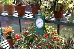 Vitavia Min-Max Thermometer