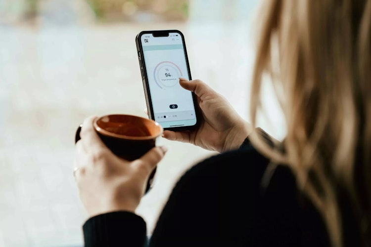 Karibu 4,5 kW Saunaofen finnisch anthrazit inkl. Huum WLAN Steuergerät mit App-Steuerung