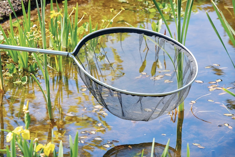 Oase Teichkescher rund extra groß (84310)