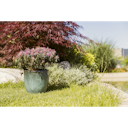 Vorschaubild Plant Pot Valio