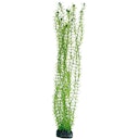 Vorschaubild HOBBY Plant Lagarosiphon Aquarieneinrichtung