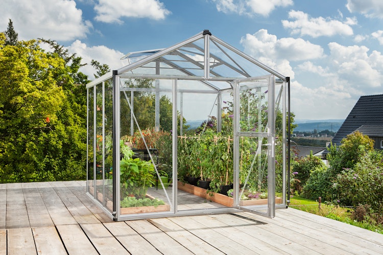 Vitavia Gewächshaus Zeus 6200 inkl. 2 Dachfenstern - 6,2 m²