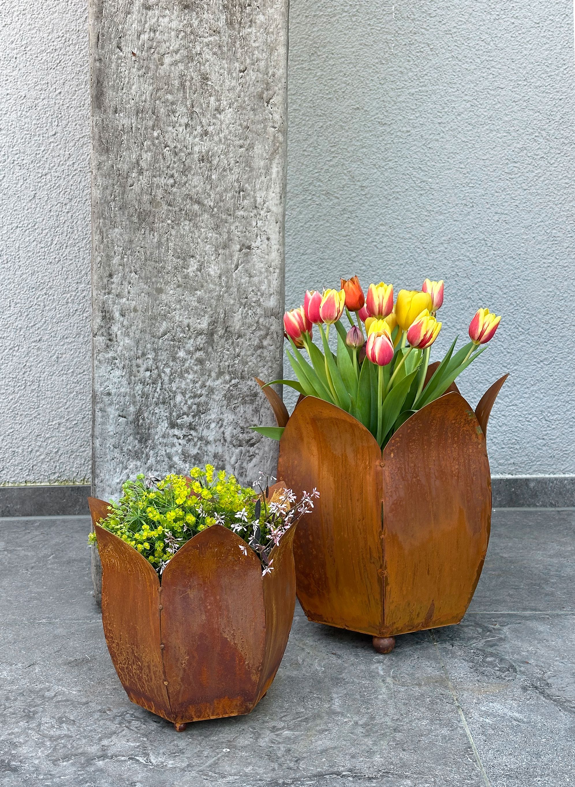 Badeko Pflanztopf-Set ,,Tulpe 350 + 500“ in Edelrostoptik