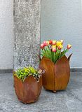Badeko Pflanztopf-Set ,,Tulpe 350 + 500“Zubehörbild