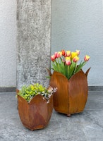 Badeko Pflanztopf-Set ,,Tulpe 350 + 500“