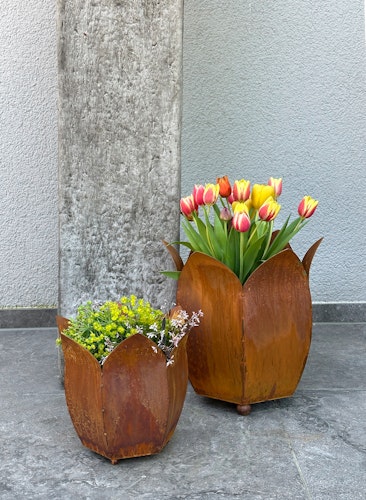 Badeko Pflanztopf-Set ,,Tulpe 350 + 500“