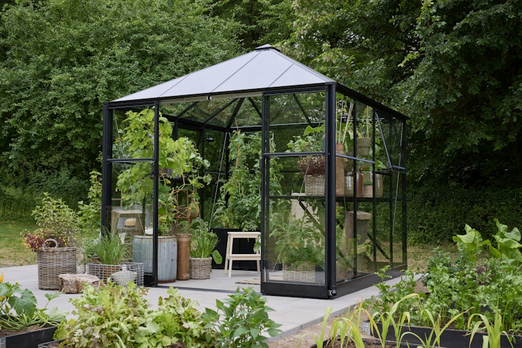 Halls Gewächshaus Qube Square - 6,3 m²