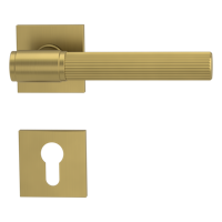 Griffwerk VAYA 136 ARIS fast2fix Fast2Fix Rosetten eckig Profilzylinder Gold matt