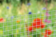 Alberts® SchweißgitterZubehörbild