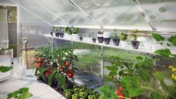 KGT Hängeborde für GewächshäuserZubehörbild