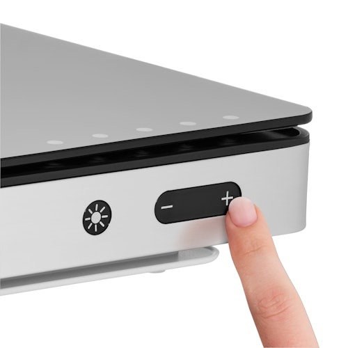 WMF Ambient Kühl- & Warmhalteplatte