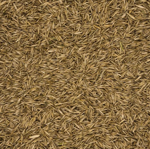 COMPO Turbo Nachsaat 1,0 kg für 50 qm