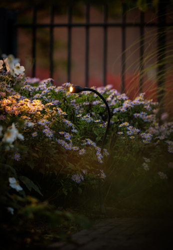 Lightpro Gartenstrahler Xible 12V Strahler 