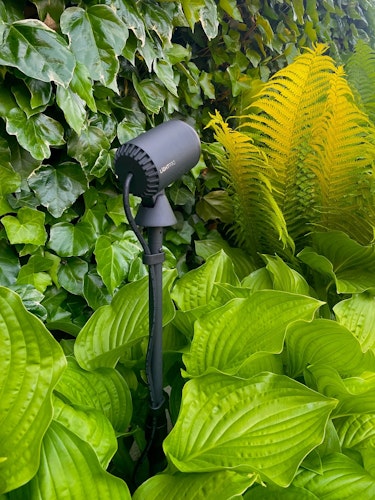 Lightpro Erdspieß Multispike 40-60 cm für Castor und Juno