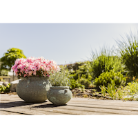 Plant Pot Ensio grün antik