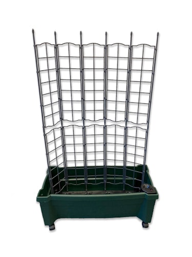 KHW Calypso Pflanzkasten auf Rollen mit Bewässerungssystem + modularem Spalier