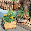 Vorschaubild BambusBASIS Pflanzkübel quadratisch 