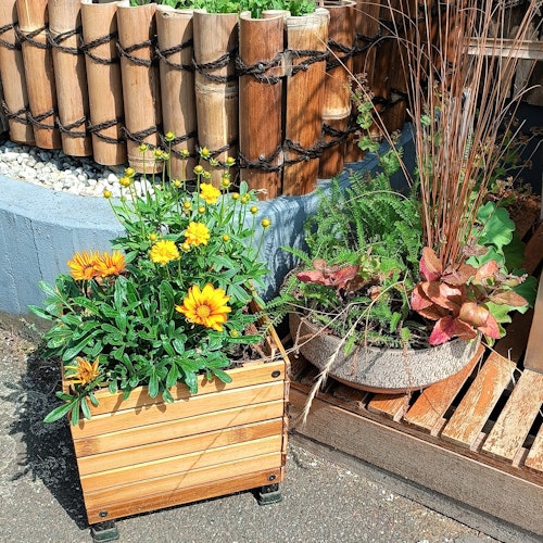 BambusBASIS Pflanzkübel quadratisch 