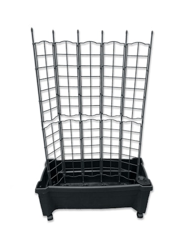 KHW Calypso Pflanzkasten auf Rollen mit Bewässerungssystem + modularem Spalier