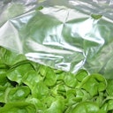 Vorschaubild Noor Frühbeetfolie 1,5 x 10 m