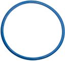 Vorschaubild Fulcrum Dichtring blau