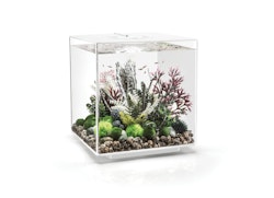 BiOrb Aquarium CUBE 60 MCR