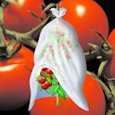 Vorschaubild Noor Tomatenvlies Tomatentunnel Ø40cm 0,7 x 10m