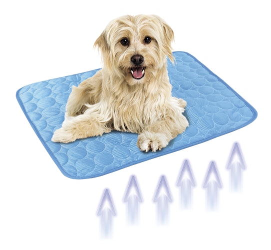 NOBBY Kühlmatte "Light"