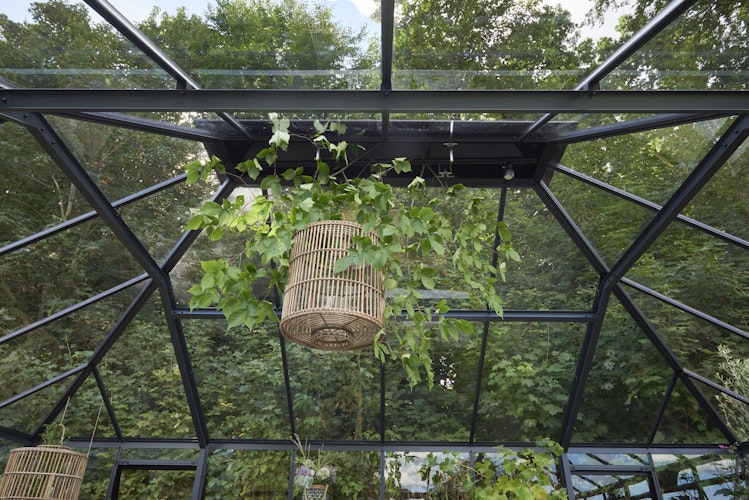 Juliana Gewächshaus Grand Oase anthrazit - 3 mm Sicherheitsglas - 25,6 m² inkl. gratis Fundamentrahmen im Wert von 849 €