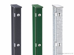 dz Pfosten VAAP mit Profilschiene / Alu-Kappe 60 x 40 mm