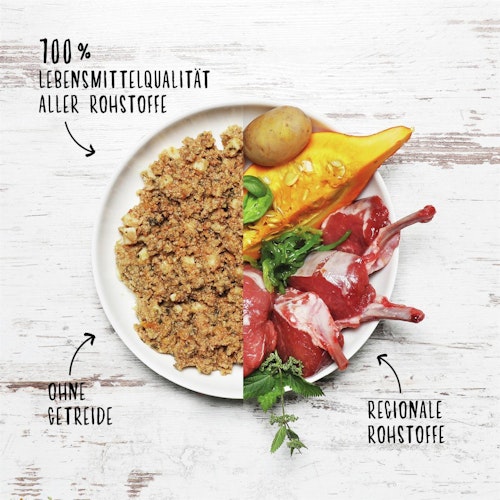 Dog's Love Junior 400g Dose Hundenassfutter