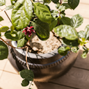 Vorschaubild Plant Pot Pekka