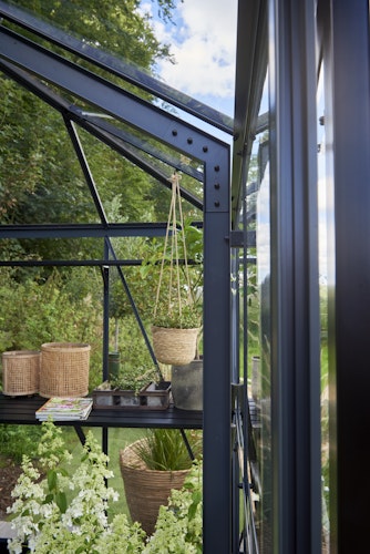 Juliana Gewächshaus Grand Oase anthrazit - 3 mm Sicherheitsglas - 25,6 m² inkl. gratis Fundamentrahmen im Wert von 849 €