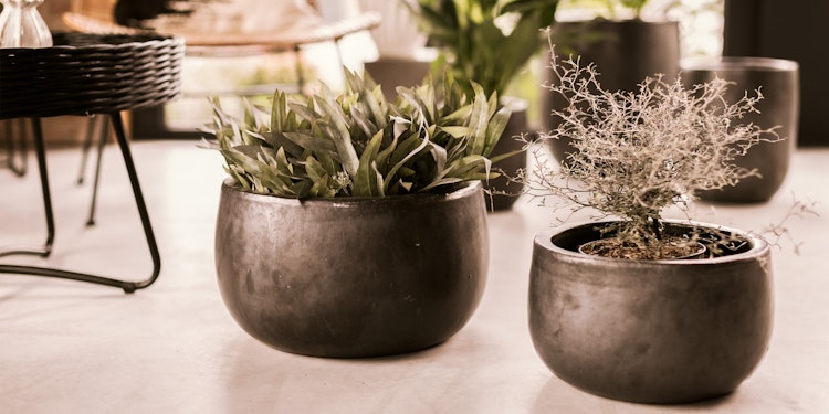 Plant Pot Kielo schwarz