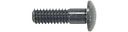 Vorschaubild Campagnolo Nippeleinsatz Bullet/Bullet Ultra schwarz