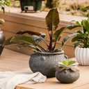 Vorschaubild Plant Pot Ensio schwarz antik