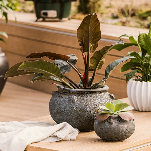 Plant Pot Ensio schwarz antik