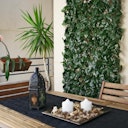 Vorschaubild Noor Rankhecke Weide