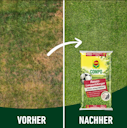 Vorschaubild COMPO Rasen-Langzeitdünger 20 kg für 800 m²