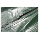 Vorschaubild Restberry´s Treehugger