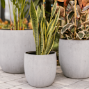 Vorschaubild Plant Pot Toivo