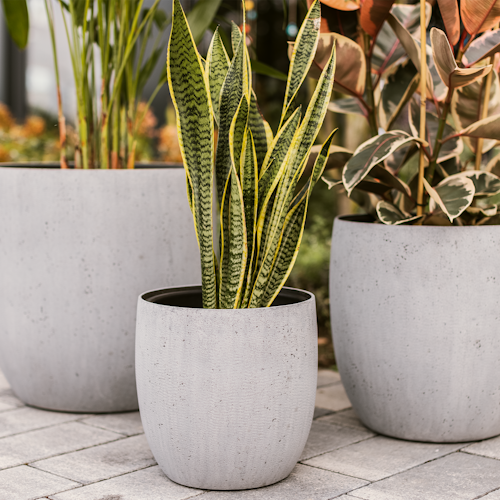 Plant Pot Toivo
