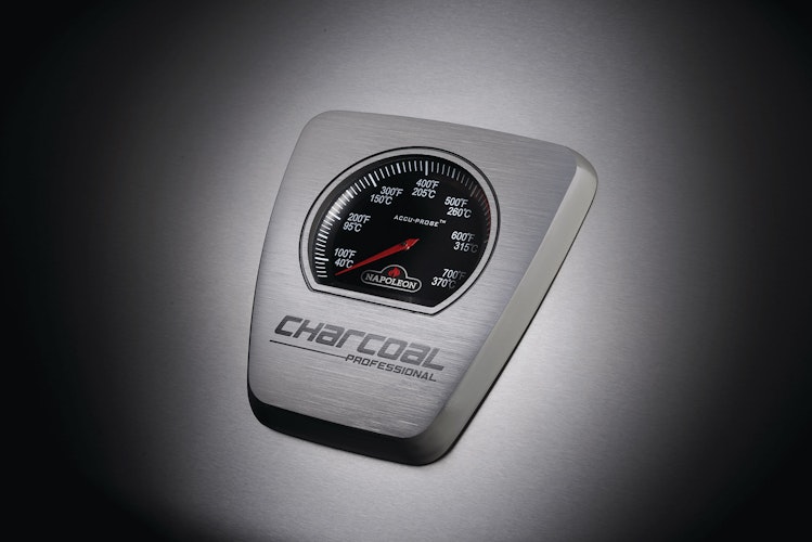 NAPOLEON Holzkohlegrill CHARCOAL PROFESSIONAL, Edelstahl